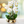 Faux Orchid, Velvet Touch, With Golden Ceramic Planter, Indoor Fake Plant