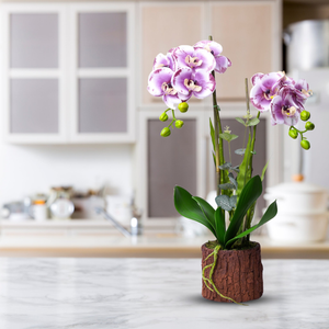 Mauve Blooms & Rustic Charm Artificial Orchid In Wooden Log Planter - Realistic Green Leaves, Perfect For Home & Desk Decor by Accent Collection