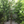 Artificial Bamboo Tree 4 ft Tall, Indoor Faux Bamboo, Realistic Fake Plant for Living Room Office Home Decor-Sona Casa