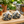 Natural River Rocks, 2 Bags 500g Each Bag, 1–2 cm Decorative Pebbles Stones for Aquarium Plant Pot, Home Garden Decor - Accent Collection