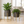 Set of 2 Brown Gold Metal Decorative Planters with Modern Finish for Indoor Home Decor
