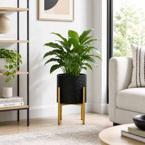 Large Black Gold Metal Flower Pot Stand with Modern Finish, 36x36x58 cm & 30x30x48 cm for Indoor Plant Display