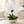 Silver Ceramic Vase with Artificial White Orchids, Modern Metallic Finish Decorative Flower Vase 19x40cm by Sona Casa