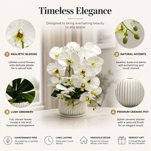 Elegant White Ceramic Artificial Orchid Pot Planter for Indoor Home Decor, 19x42cm by Sona Casa