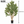 Large Nearly Natural 200 cm Artificial Olive Tree with Black Olives, Realistic Faux Plant for Indoor Outdoor Home and Patio