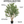 Large Nearly Natural 200 cm Artificial Olive Tree with Black Olives, Realistic Faux Plant for Indoor Outdoor Home and Patio