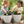 2 White planter pots by Sona Casa