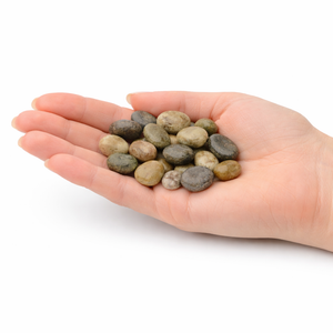 Natural Polished River Rocks, 500g Pack, 1–2 cm Decorative Pebbles Stones for Aquarium Plant Pot, Home Garden Decor by Sona Casa