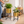 Pair of Large Metal Planter Pots, 24 and 22 inch Tall Indoor Planters with Sturdy Stands, Home Office Decor by Sona Casa