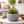 Dark Gray Round Pot for Plants, Planters Indoor Outdoor, Living Room, Garden, Patio Decor by Sona Casa