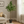 Large Nearly Natural Artificial Olive Tree with Black Olives, 47