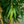 Artificial Bamboo Tree 4 ft Tall, Indoor Faux Bamboo, Realistic Fake Plant for Living Room Office Home Decor-Sona Casa