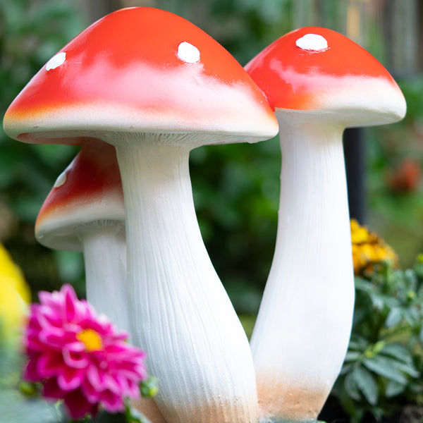 Large Mushroom Garden Decoration - 35cm, Weather Resistant, Fairy Garden Décor by Accent Collection Home Decor