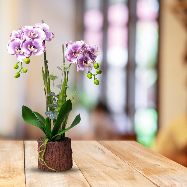 Mauve Blooms & Rustic Charm Artificial Orchid In Wooden Log Planter - Realistic Green Leaves, Perfect For Home & Desk Decor by Accent Collection
