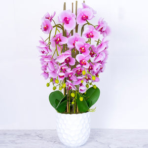 Large Faux Orchid Plant in White Base Planter, Beautiful Artificial Plant, 80 cm High by Accent Collection Home Decor