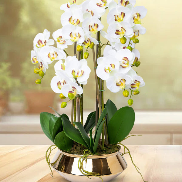 Faux Orchid, Velvet Touch, With Golden Ceramic Planter, Indoor Fake Plant by Accent Collection Home Decor