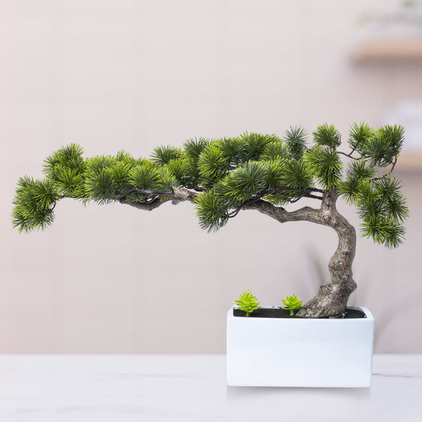 Faux Bonsai Pine with Ceramic Base, Fake Plant, Artificial Plant by Accent Collection Home Decor