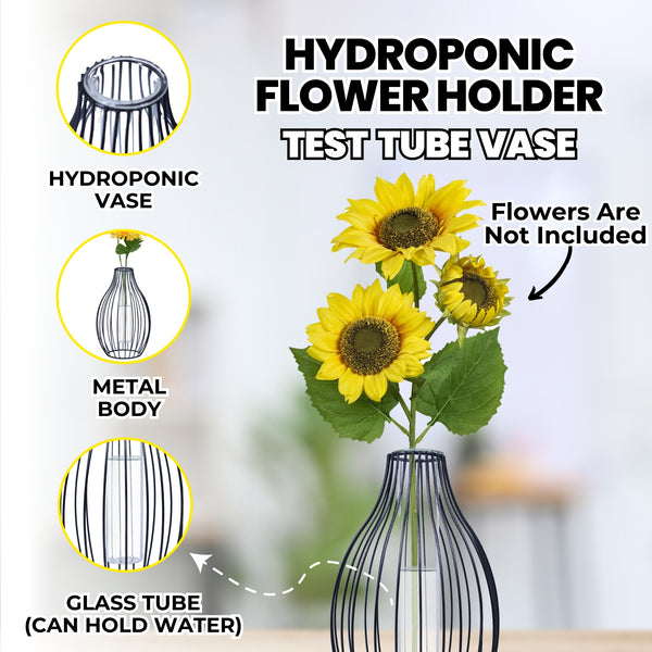 Hydroponic Flower Vase, Propagation Tube, Terrarium Glass Pot, Black Metal Body Table Vase 10in, 24cm by Accent Collection