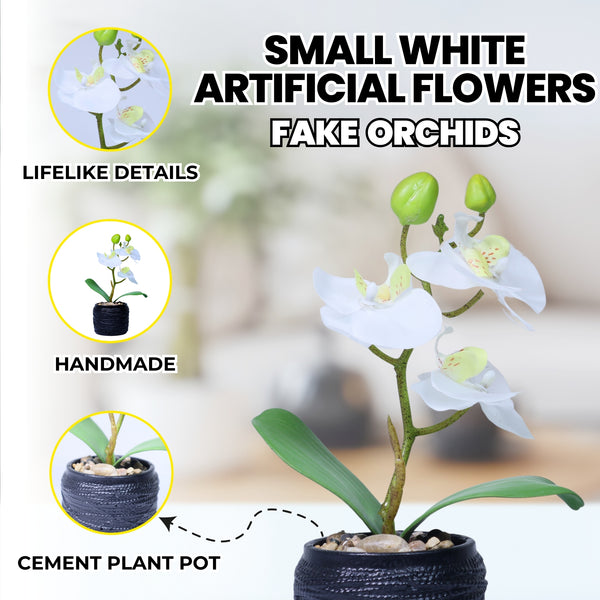 Handmade Small White Artificial Flowers, Fake Orchids with Black Cement Pot 9in or 23cm, Housewarming Gift by Accent Collection