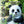 Weatherproof Large Panda Garden Statue, Fiberglass Black & White, Perfect Gardener Gifts & Outdoor Decor