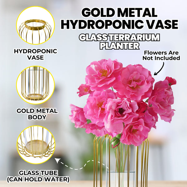 Gold Metal Hydroponic Vase, Glass Terrarium Planter, Propagation Vase Home Decor 9in 22cm by Accent Collection