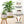 Indoor Planters Set of 2, 26