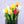 Faux Tulip, Artificial Flower, Fake Tulips, Multicolor Fake Bouquet of Flowers, Mix Colors, Decors of Spring, Housewarming Gift