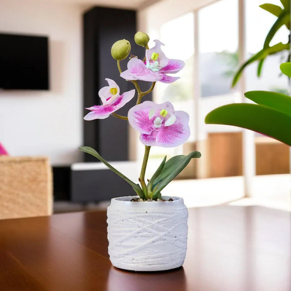 Small White Potted Orchid Plant, Pink Spots, Handmade Rustic Decor, Housewarming Gift 9in, 23cm by Accent Collection