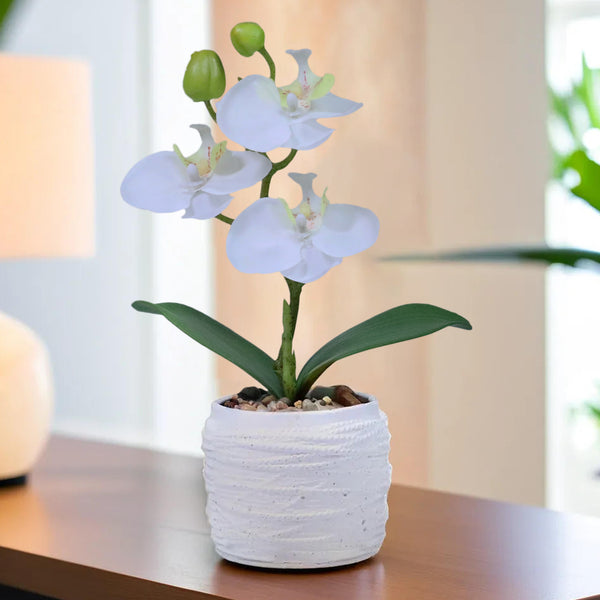 Faux White Orchid in White Cement Pot for Home or Office Decor, Handmade, Cute Gift Idea 9in 23cm by Accent Collection