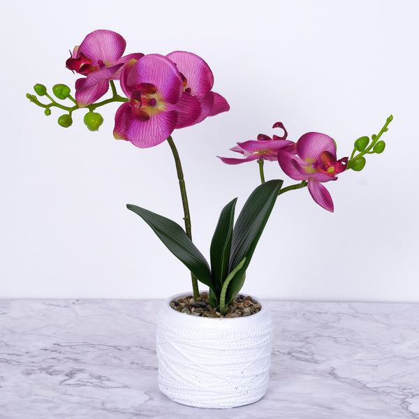 Lifelike Pink Orchid In White Planter - Resin & Fiberglass Potted Fake Plant For Desk, Shelf, And Home Decor by Accent Collection