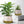 Indoor Planters Set of 2, 26