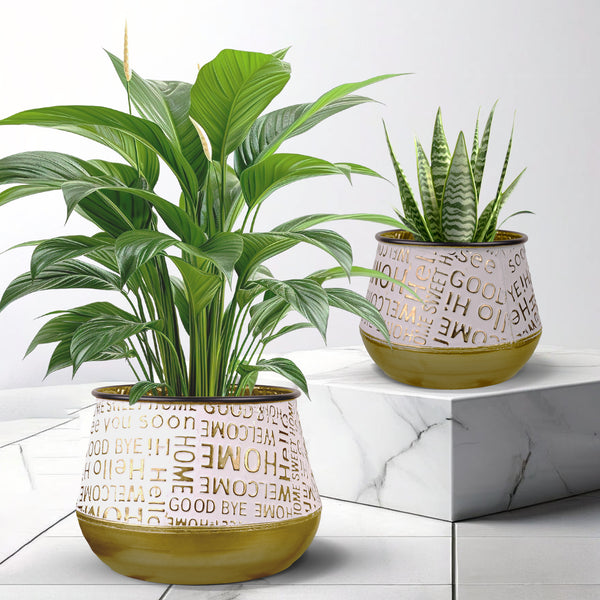 Indoor Planters Set of 2, 26" Large, 19" Small Pots for Houseplants