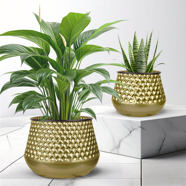 Golden Plant Container Set of 2, 26" Large 19" Small Metal Planters Decor