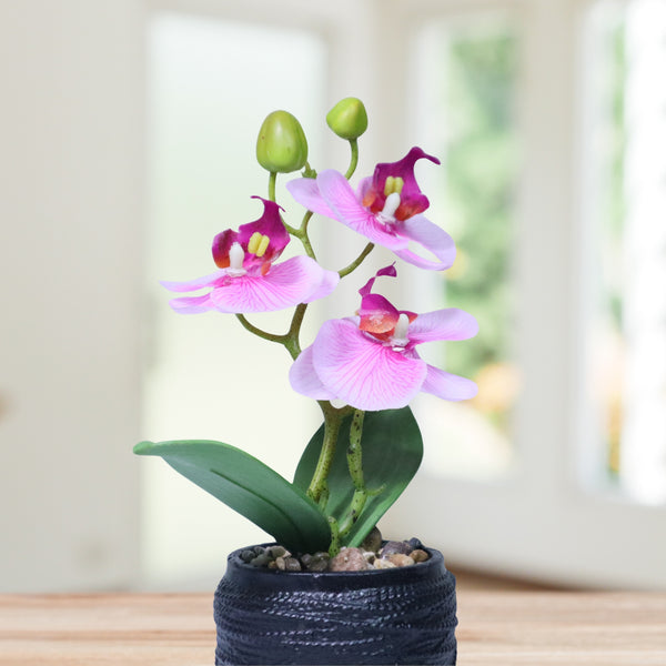 Small Pink Faux Orchid Fake Plants Indoor with Black Cement Pot, Handmade Center Table Decor 9in, 23cm by Accent Collection