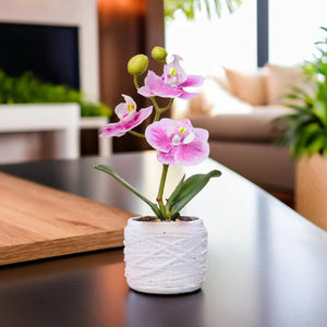 Small White Potted Orchid Plant, Pink Spots, Handmade Rustic Decor, Housewarming Gift 9in, 23cm by Accent Collection