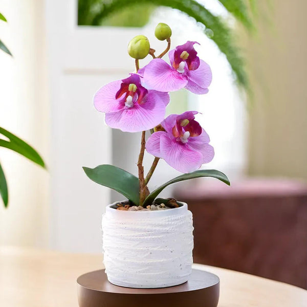 Pink Orchid Handmade Artificial Plants Indoor in White Pot, Birthday Gift, Table Decor 9in, 23cm by Accent Collection