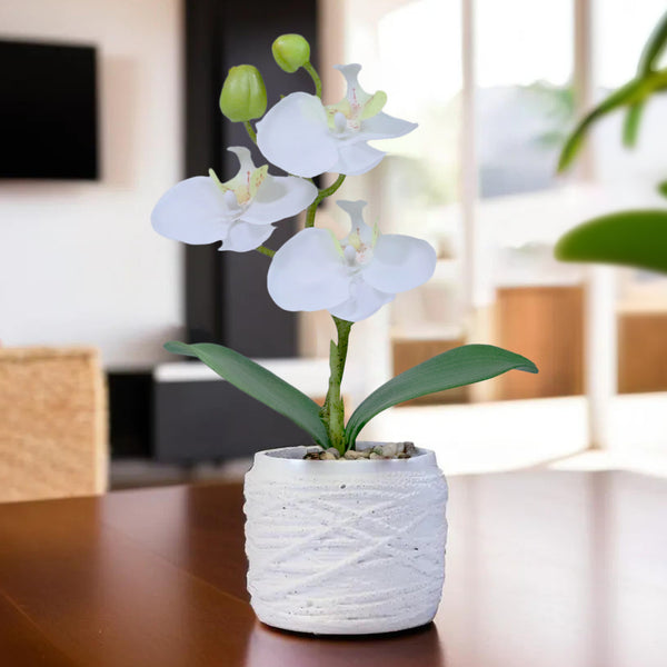 Faux White Orchid in White Cement Pot for Home or Office Decor, Handmade, Cute Gift Idea 9in 23cm by Accent Collection