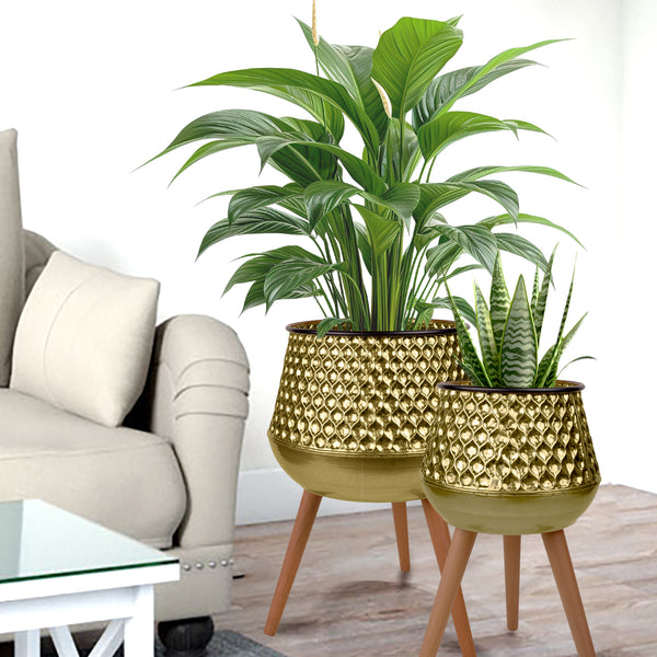 Golden Plant Container Set of 2, 26" Large 19" Small Metal Planters Decor