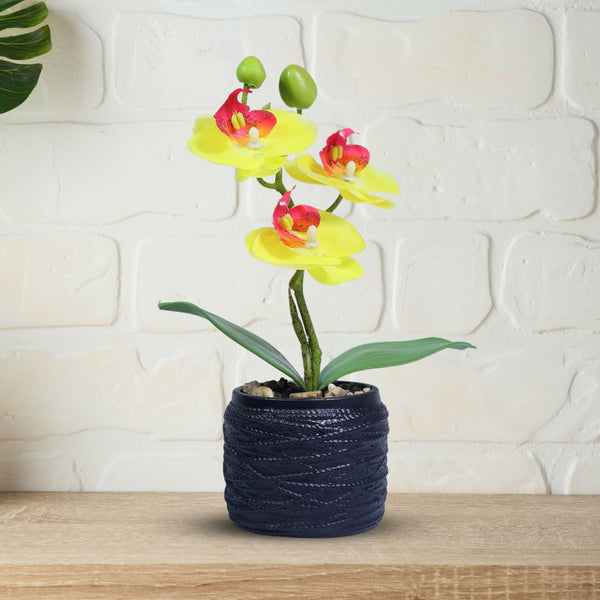 Small Yellow Artificial Orchid with Black Cement Plant Pot, Rustic Table Decor, Handmade 9in or 23cm by Accent Collection