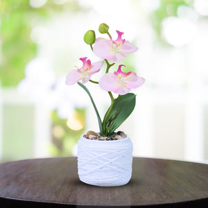 Handmade Light Pink Fake Orchids with White Cement Pot, Rustic Tabletop Decor 9in or 23cm by Accent Collection