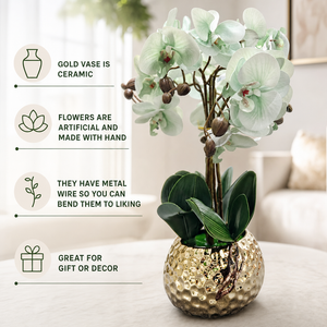 Elegant Gold Ceramic Vase with Artificial Green Orchid - Accent Collection