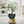 Elegant Gold Ceramic Vase with Artificial Green Orchid - Accent Collection
