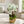Elegant Gold Ceramic Vase with Artificial Green Orchid - Accent Collection
