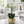 Elegant Gold Ceramic Vase with Artificial Green Orchid - Accent Collection