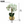 Elegant Gold Ceramic Vase with Artificial Green Orchid - Accent Collection