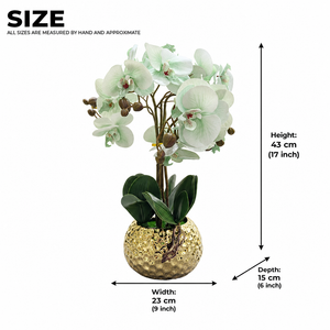 Elegant Gold Ceramic Vase with Artificial Green Orchid - Accent Collection