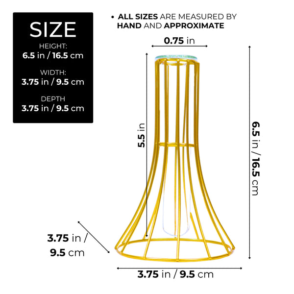 Hydroponic Flower Vase, Gold Metal and Glass Propagation Terrarium Pot Tabletop Centerpiece 7 inch 17 cm