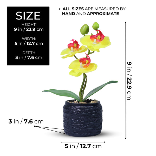 Small Yellow Artificial Orchid with Black Cement Plant Pot, Rustic Table Decor, Handmade 9in or 23cm by Accent Collection
