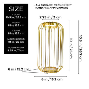 Gold Hydroponic Vase, Minimalist Pot for Bud or Dry Flowers, Propagation Tube Terrarium Planter 11in 27cm by Accent Collection