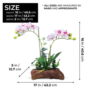 Artificial Orchids for Home Decor Indoor in Log-like Cement Planter, White Pink Faux Orchids, 16in 41cm by Accent Collection